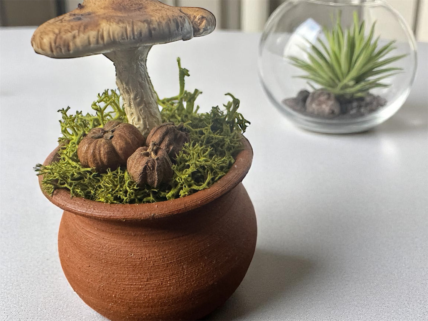 Round Shroom Pots