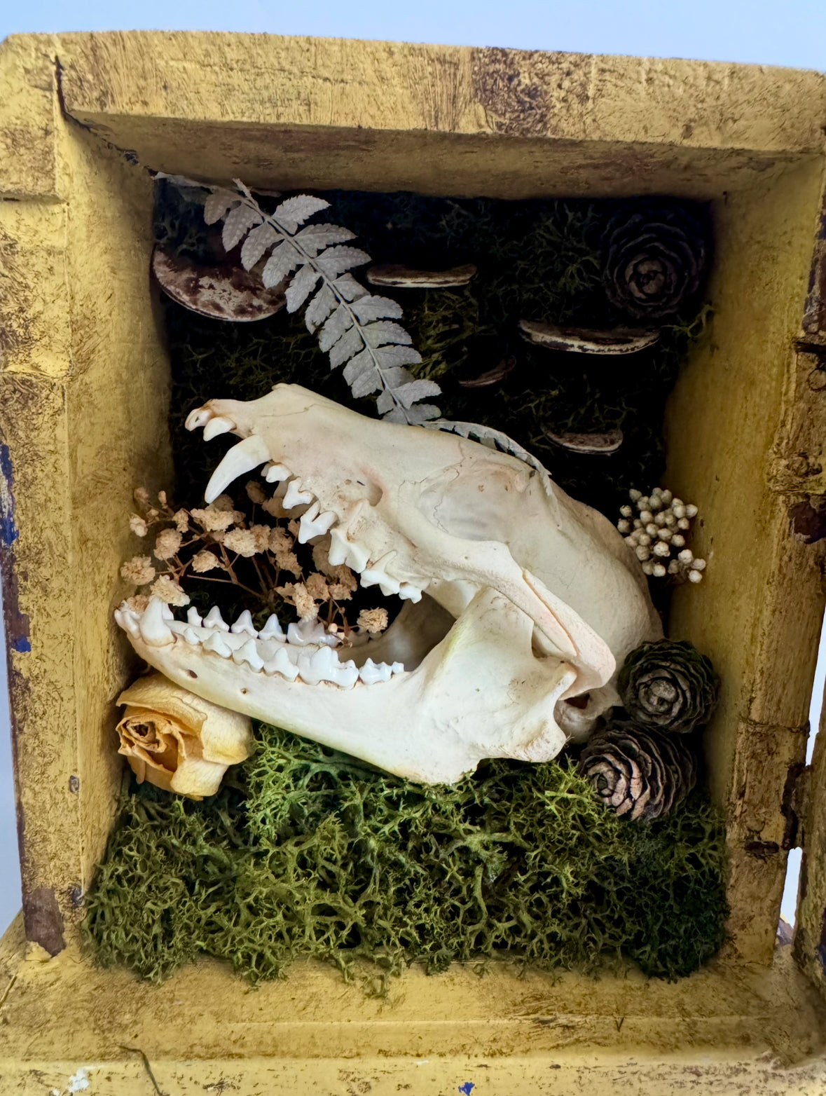 Antique Clock Case - Hidden World