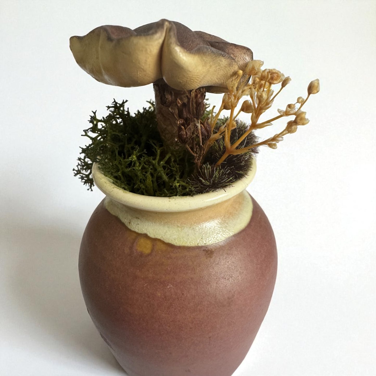 Single Shroom Pot