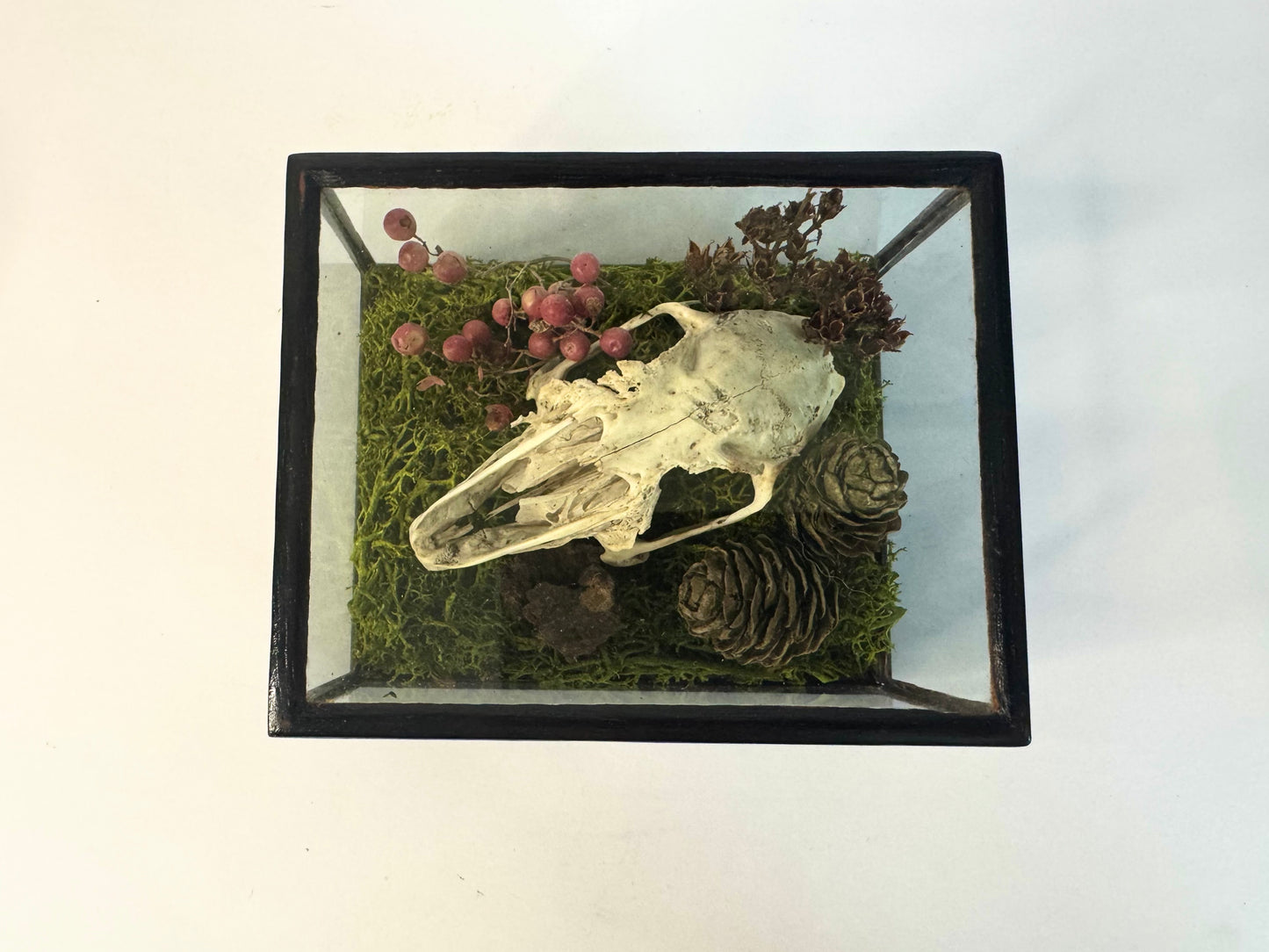 Vintage Wood & Glass Display Cases