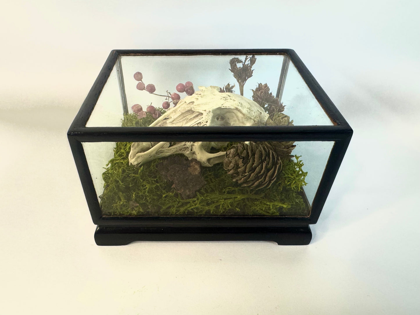 Vintage Wood & Glass Display Cases