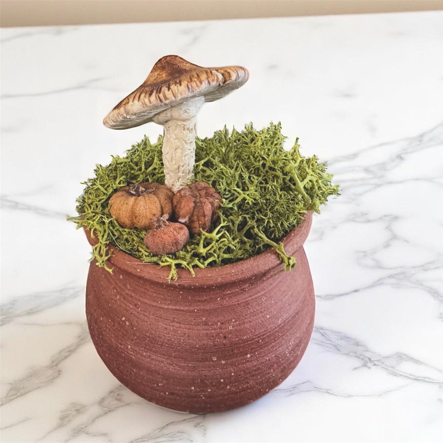 Round Shroom Pots