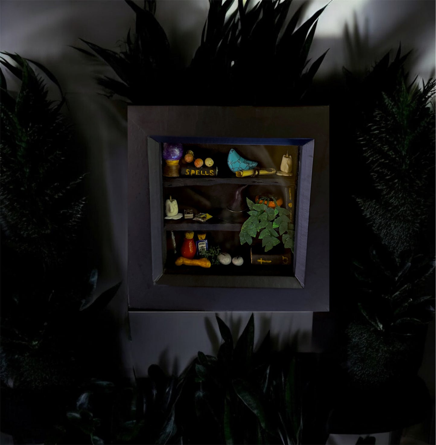 Witches Shelves