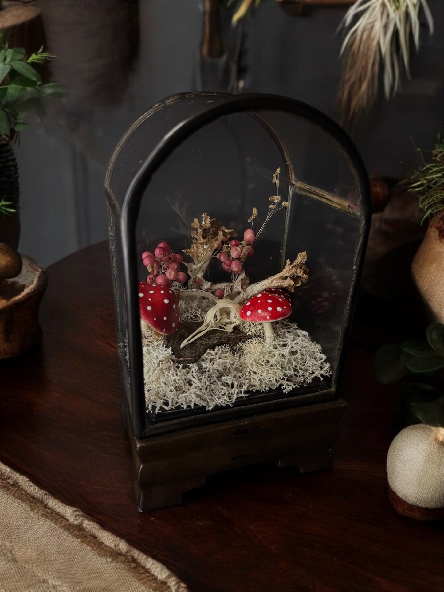 Bird Skull in Vintage Terrarium