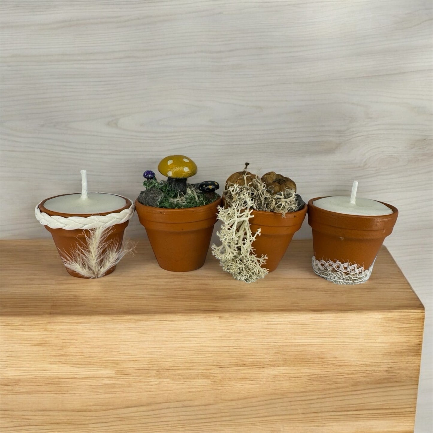 Micro Terra Collection