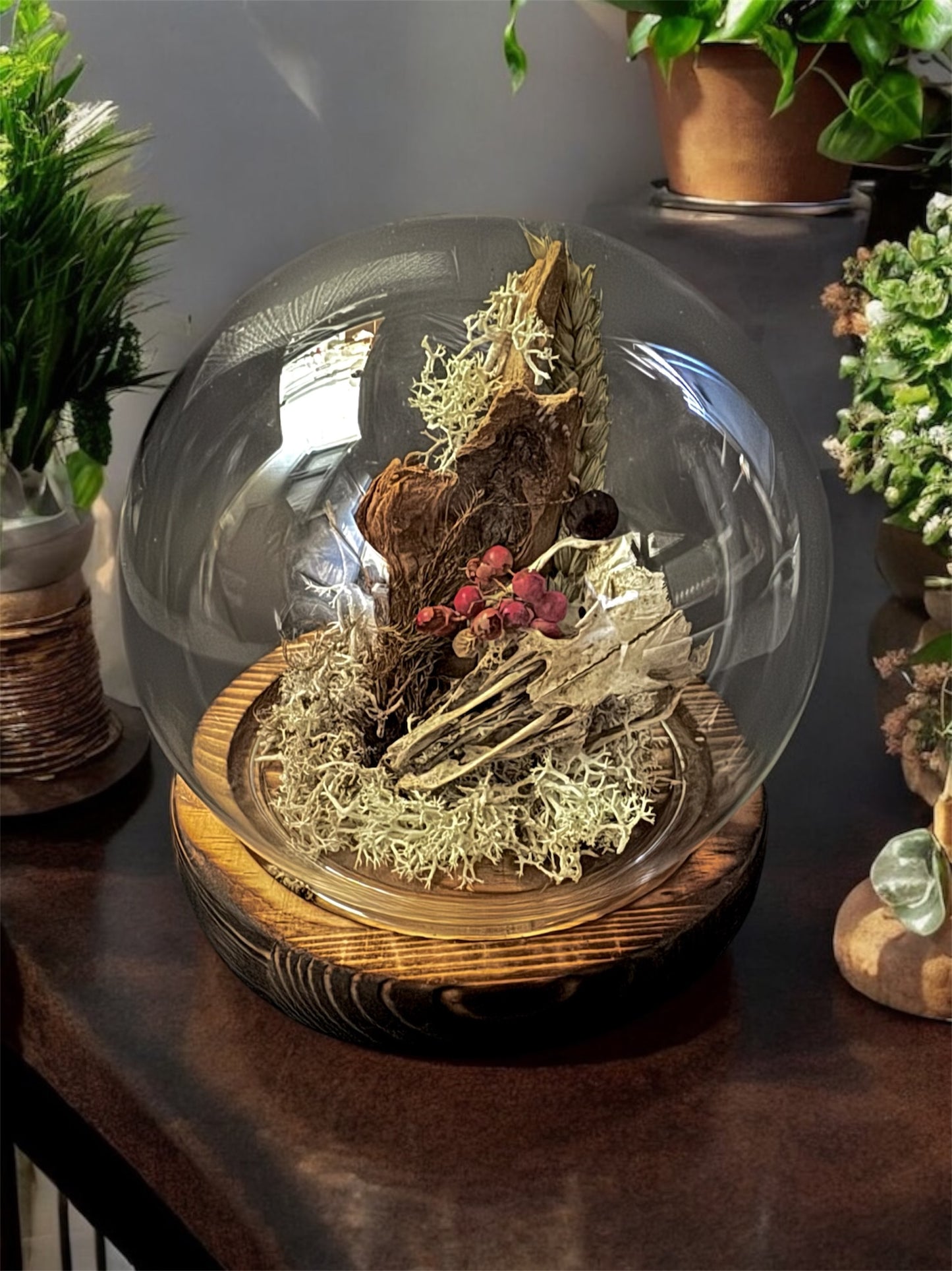 Rabbit Skull Dome