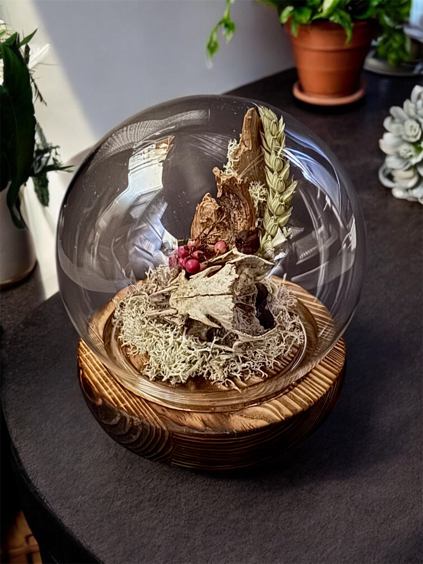 Rabbit Skull Dome