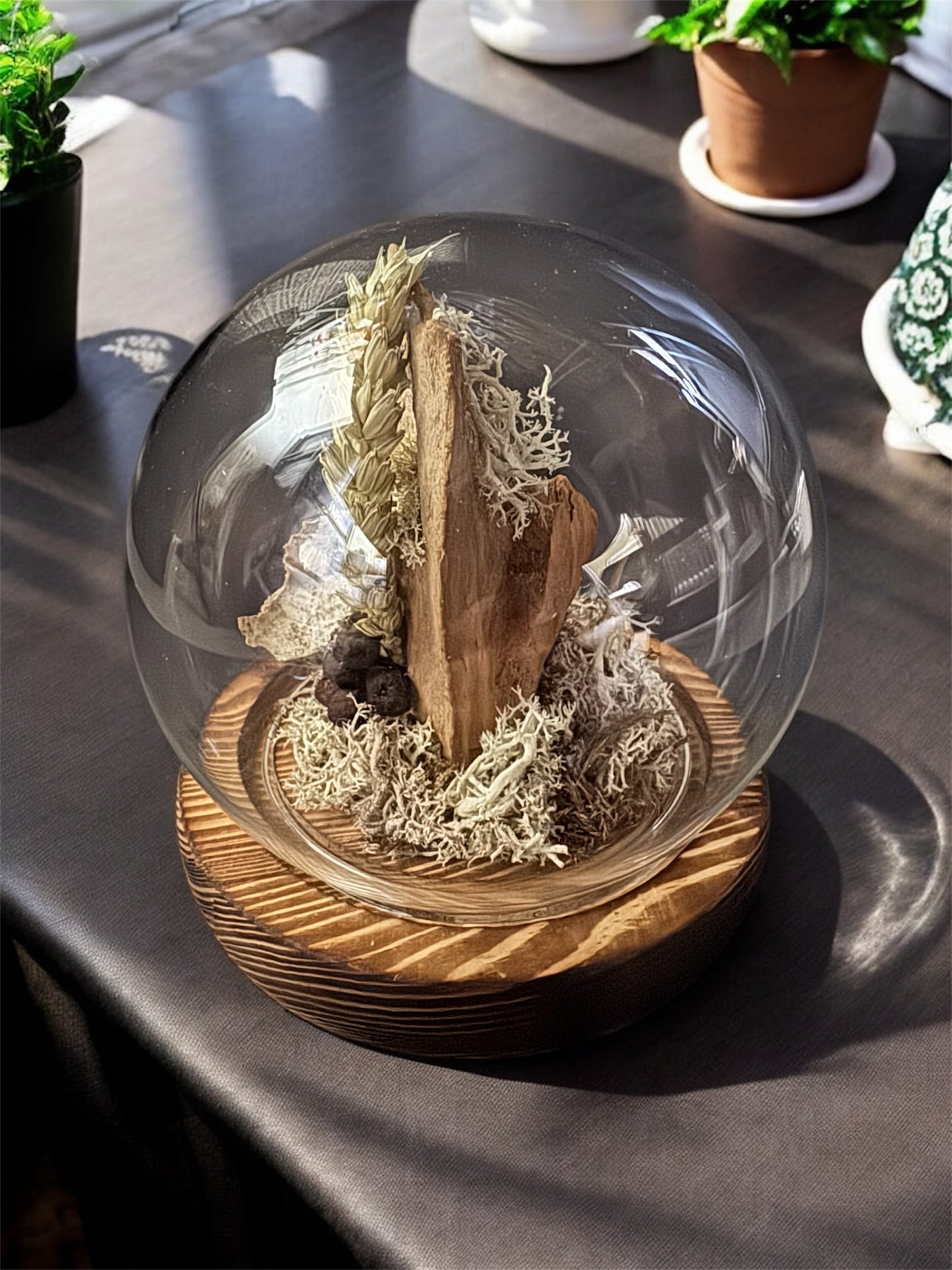 Rabbit Skull Dome