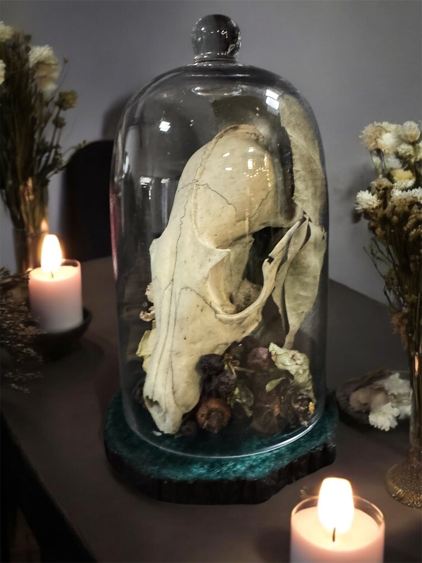 Fox Skull Tall Dome