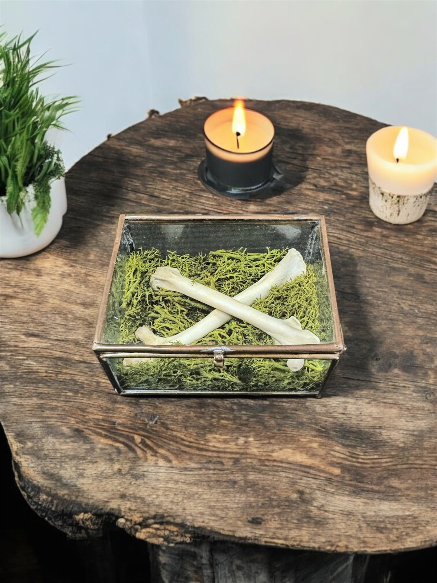 Glass Trinket Box Crossbones