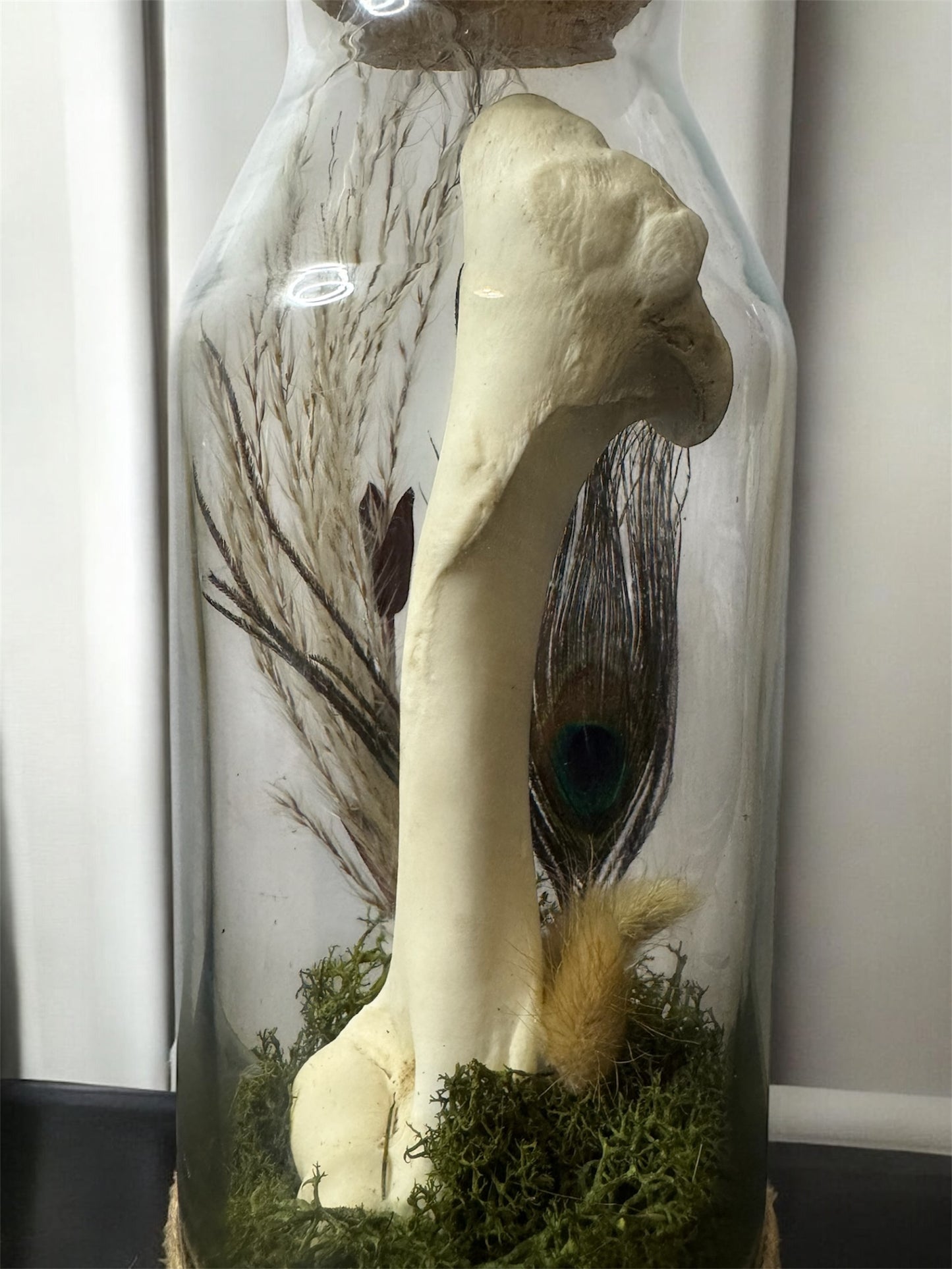 Bone Bottles