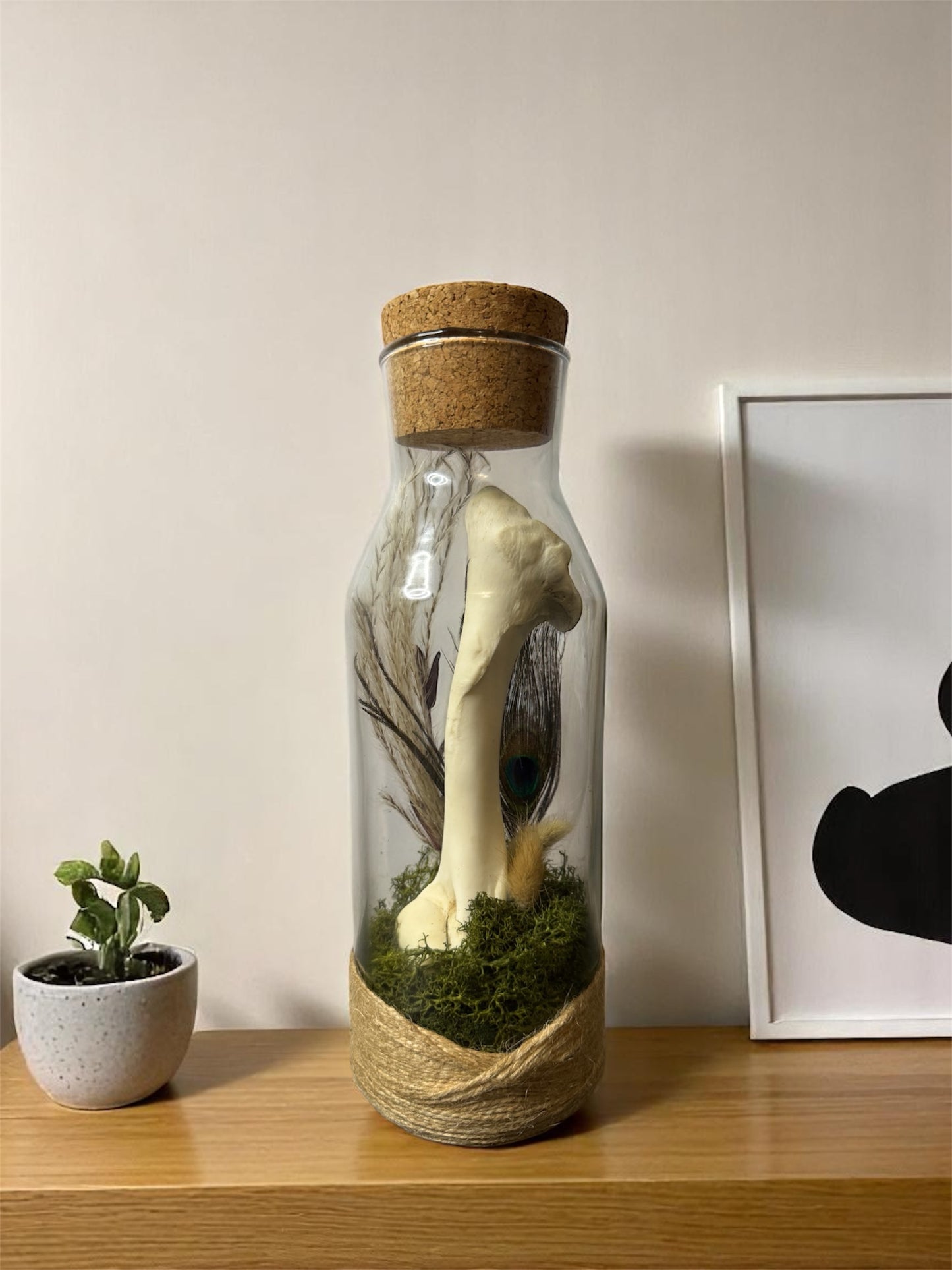 Bone Bottles