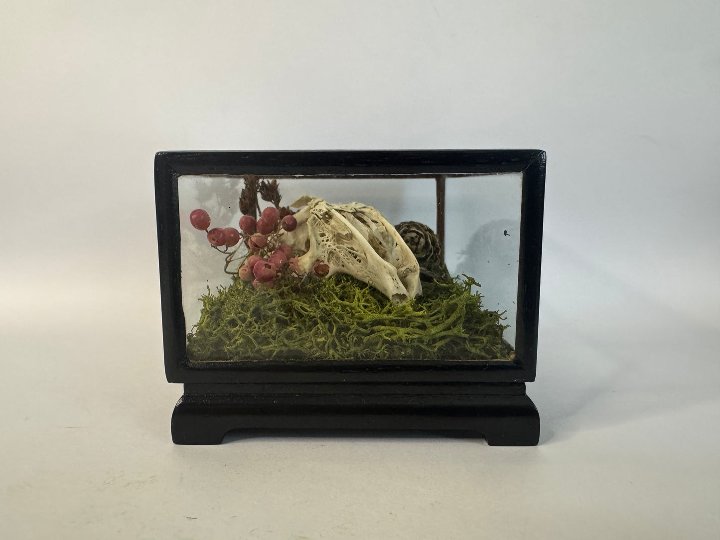Vintage Wood & Glass Display Cases