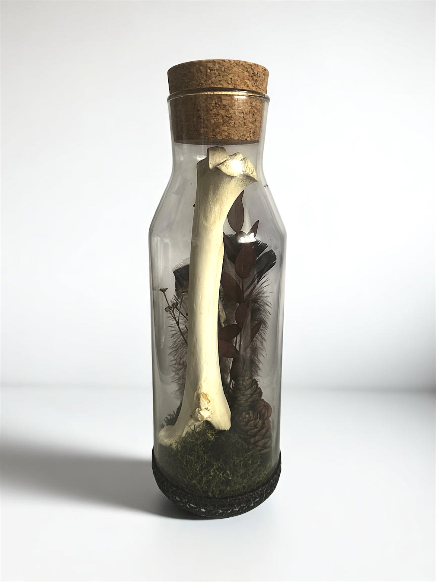 Bone Bottles