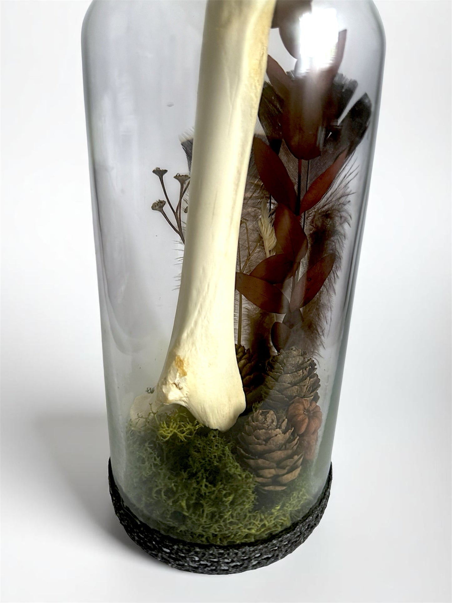 Bone Bottles
