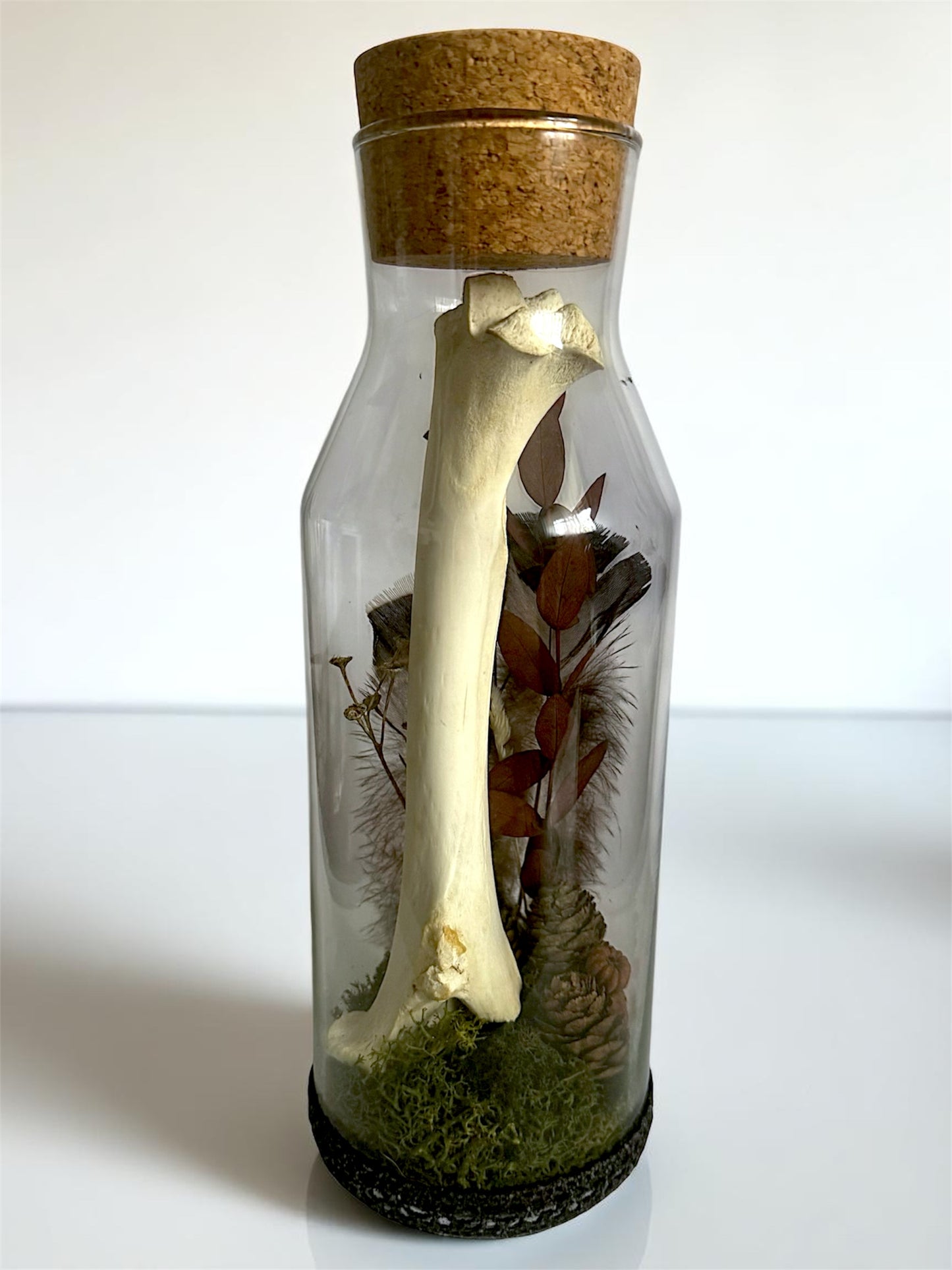 Bone Bottles