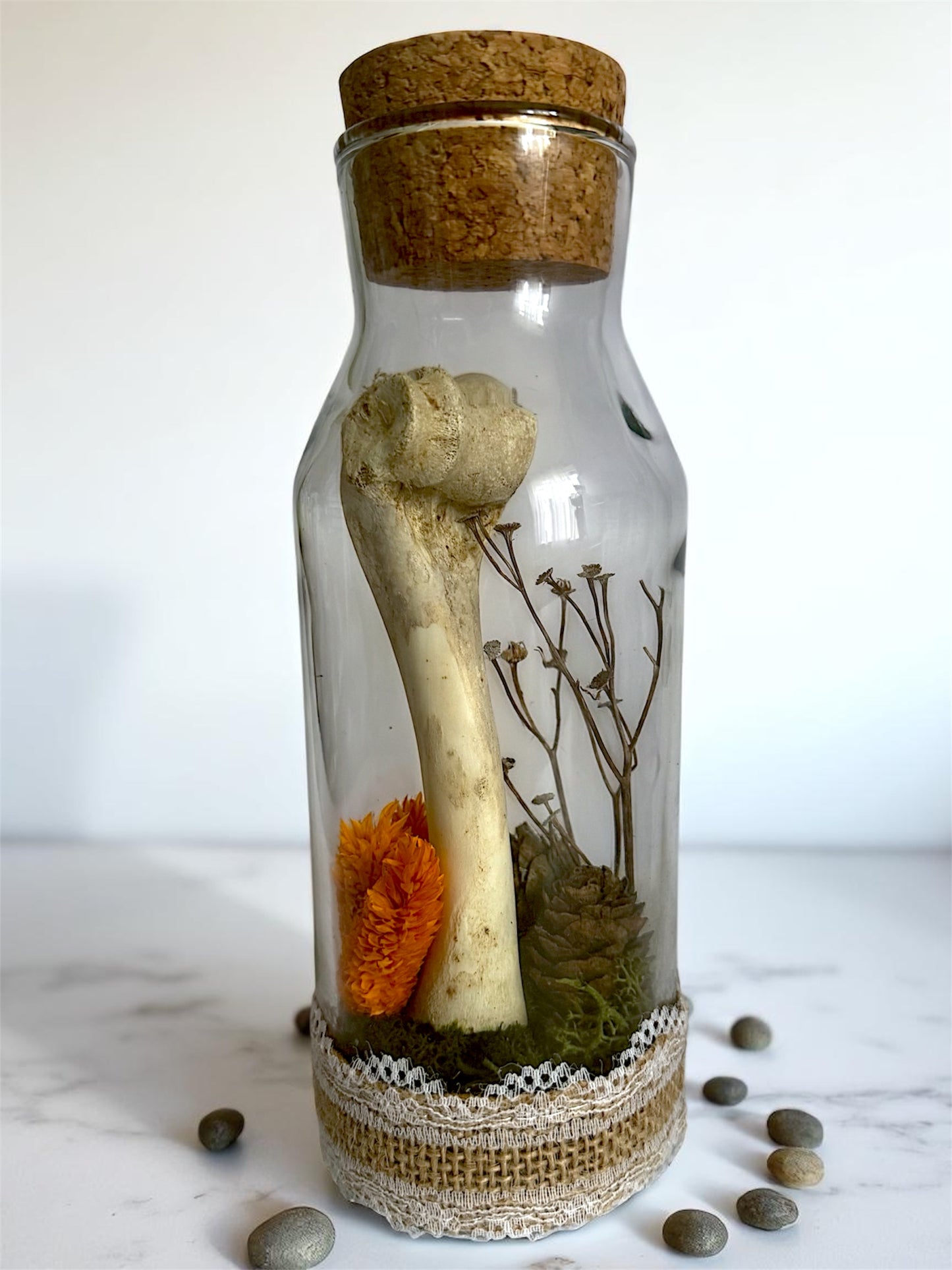 Bone Bottles