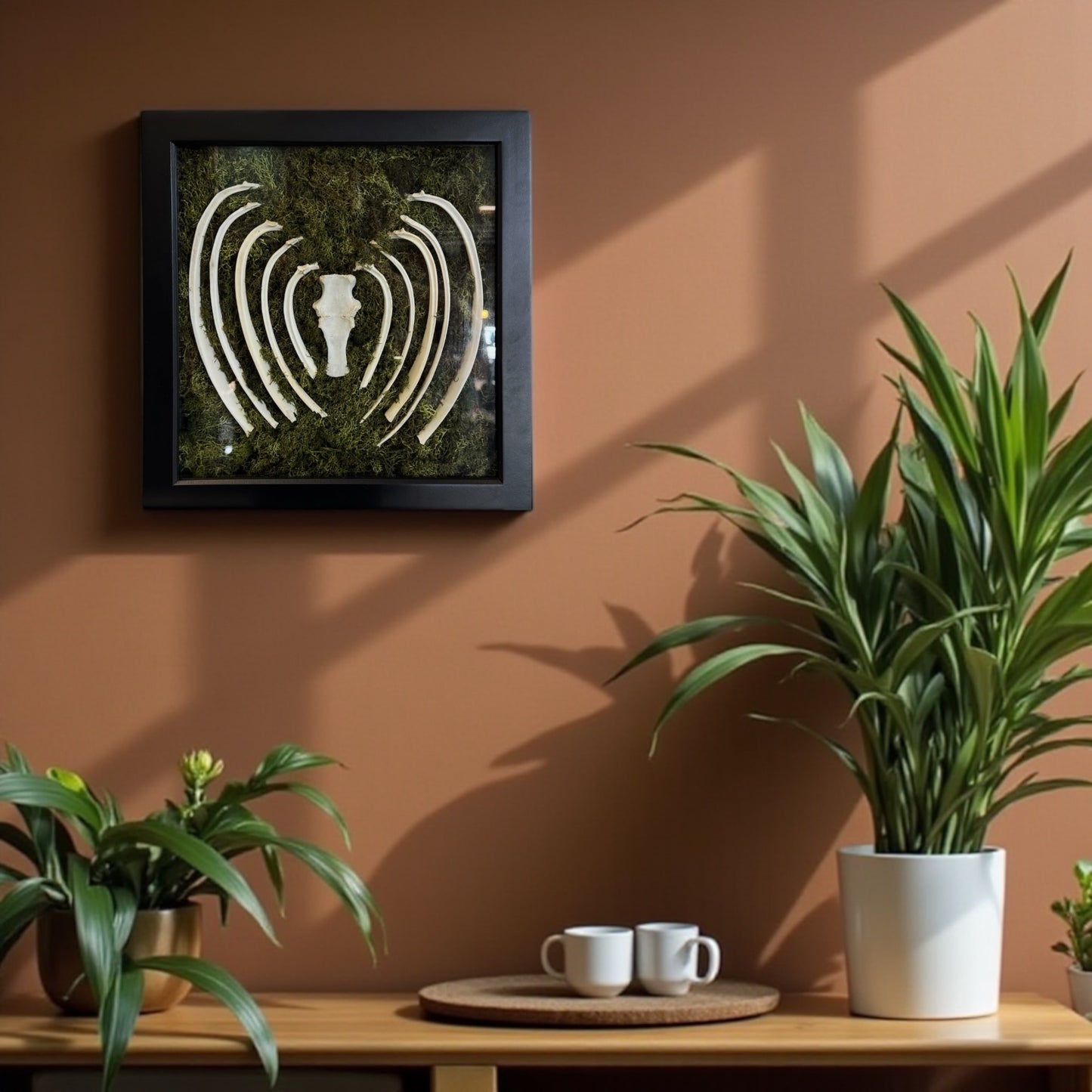 Bone & Moss Frames