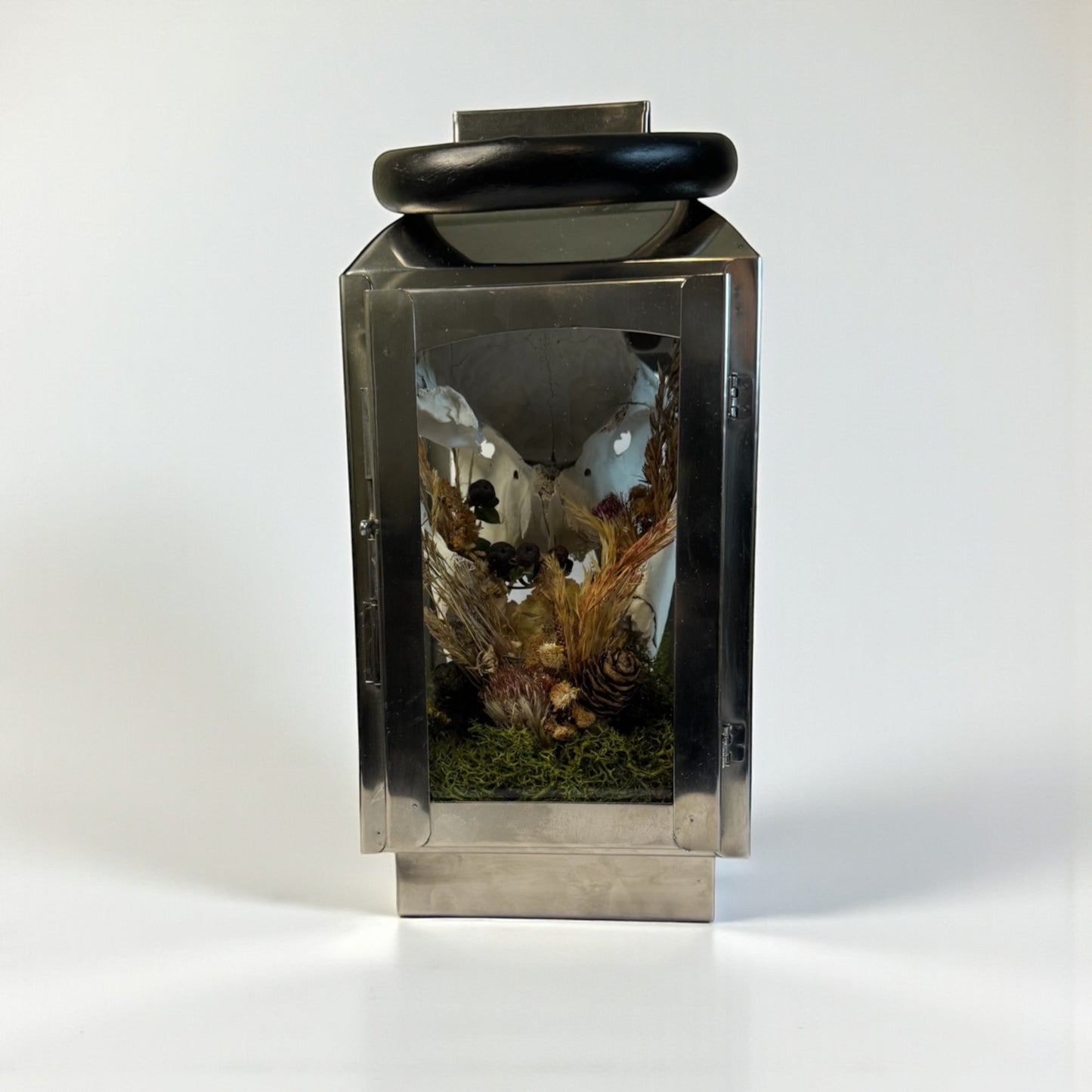 Sheep Skull Light Up Lantern