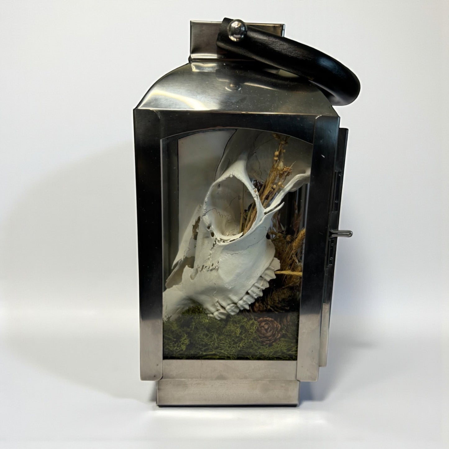 Sheep Skull Light Up Lantern