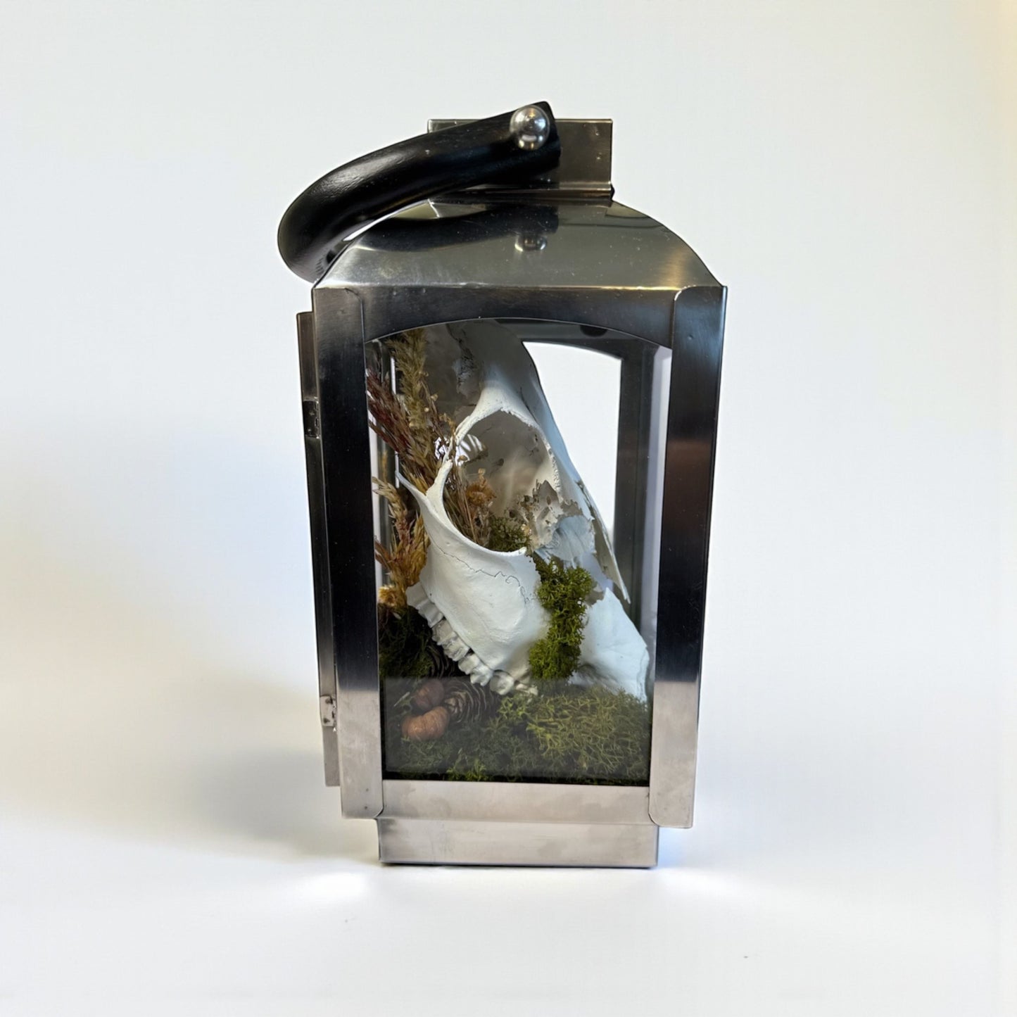 Sheep Skull Light Up Lantern