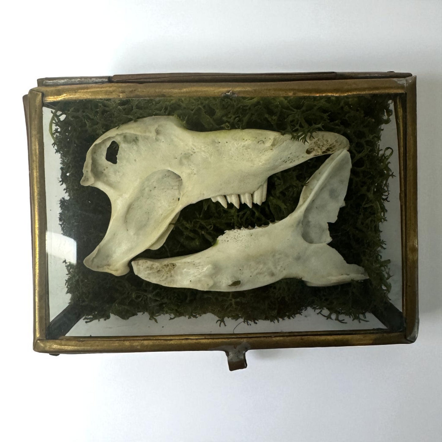 Vintage Glass Trinket Boxes