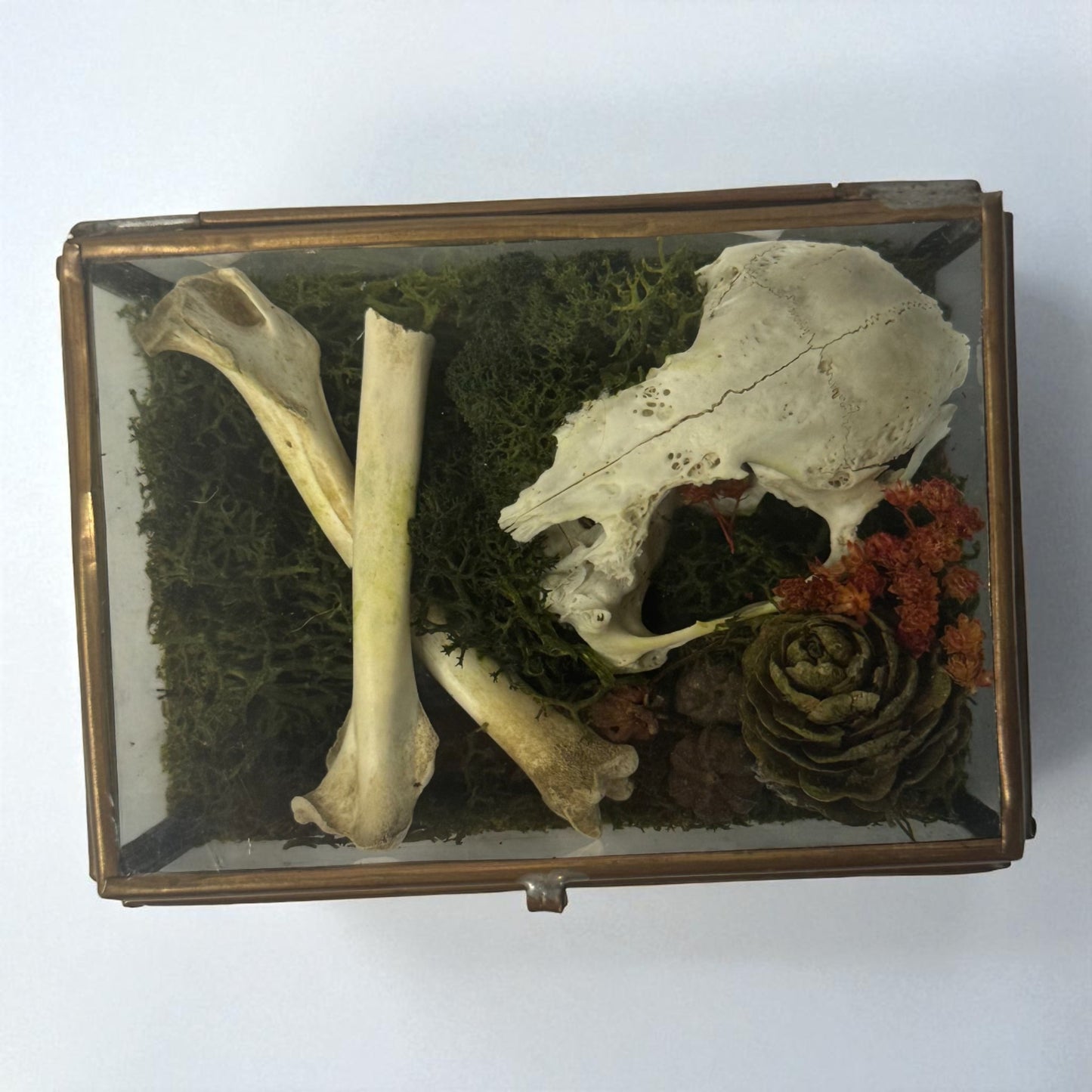 Vintage Glass Trinket Boxes