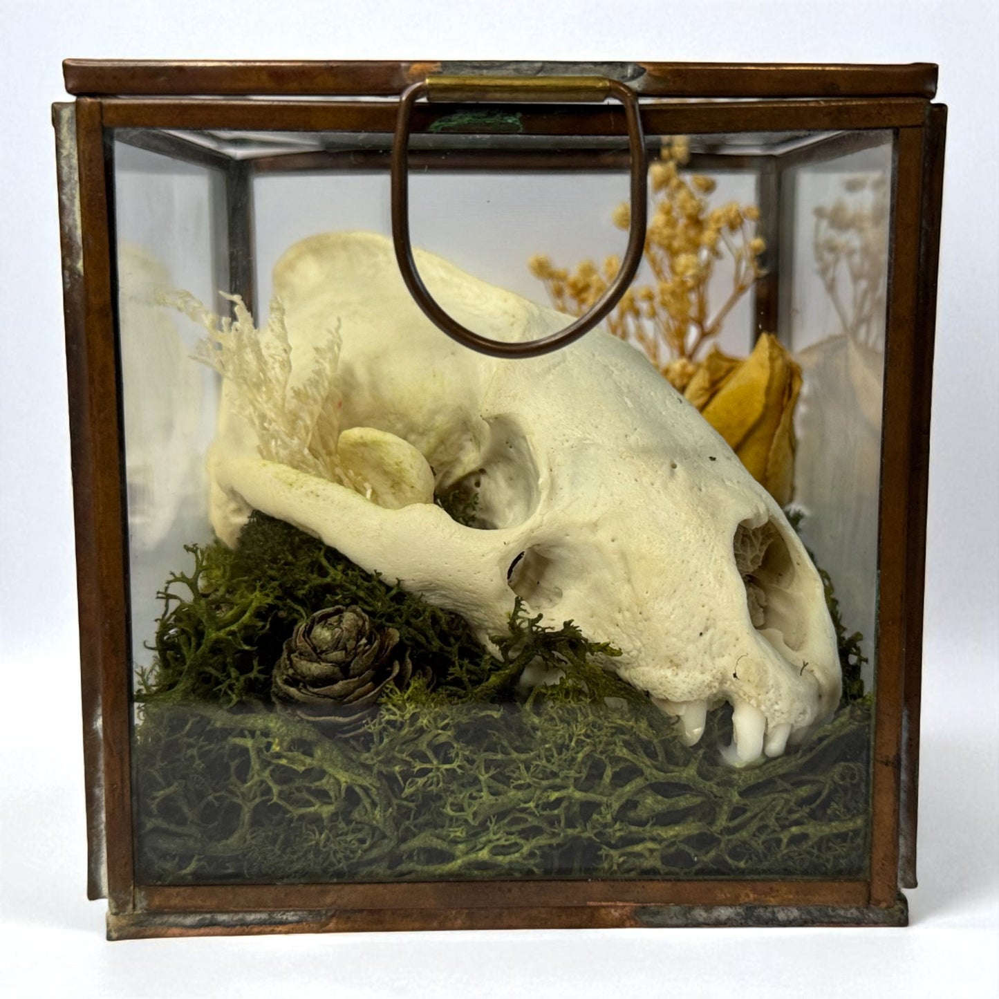 Vintage Glass Trinket Boxes