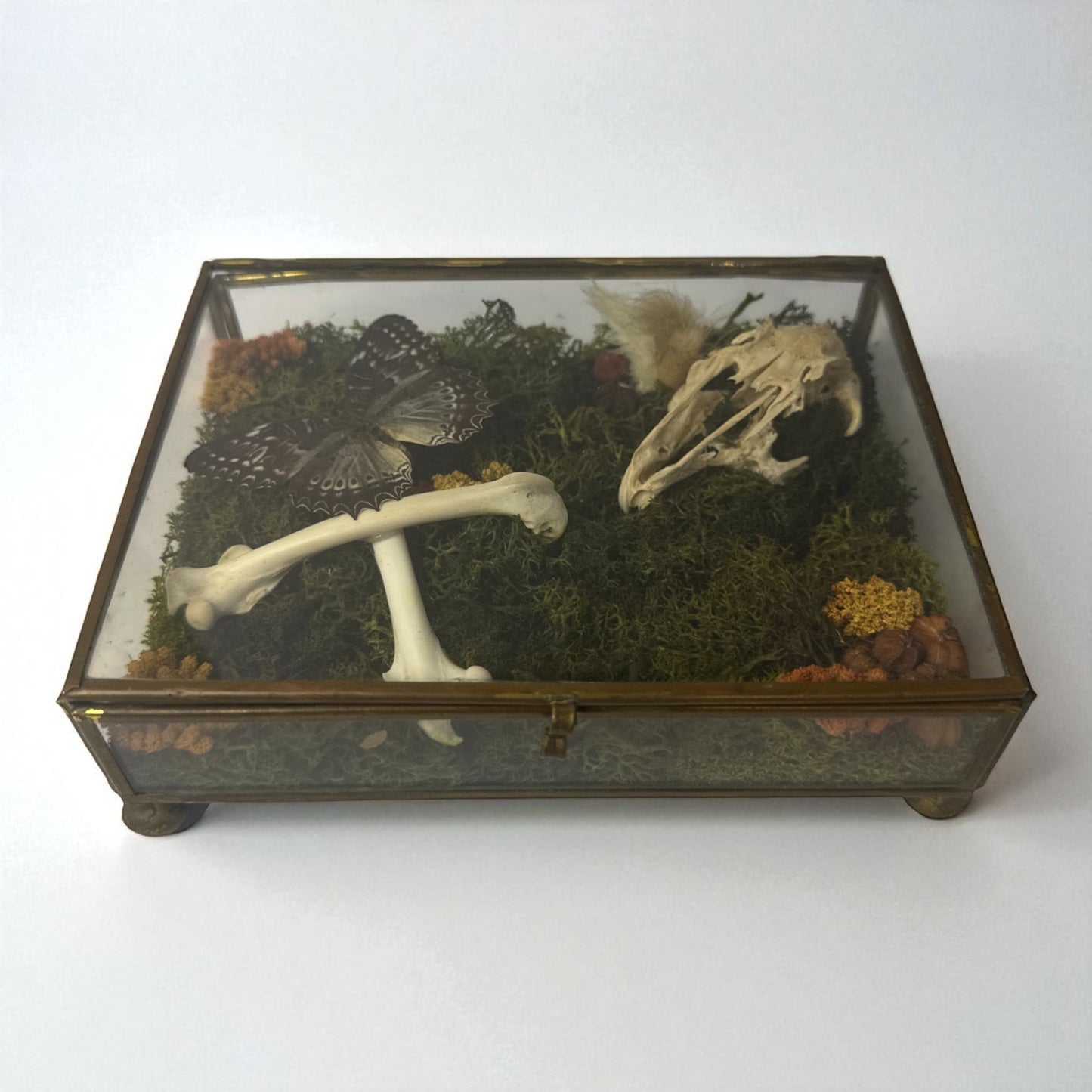 Vintage Glass Trinket Boxes