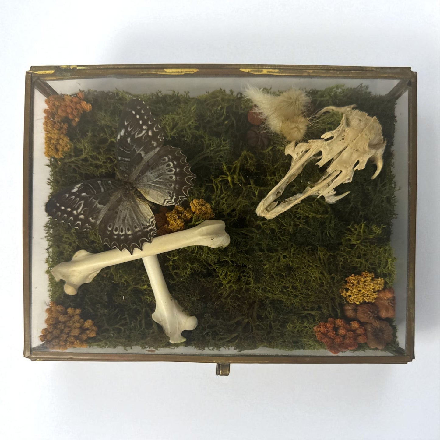 Vintage Glass Trinket Boxes