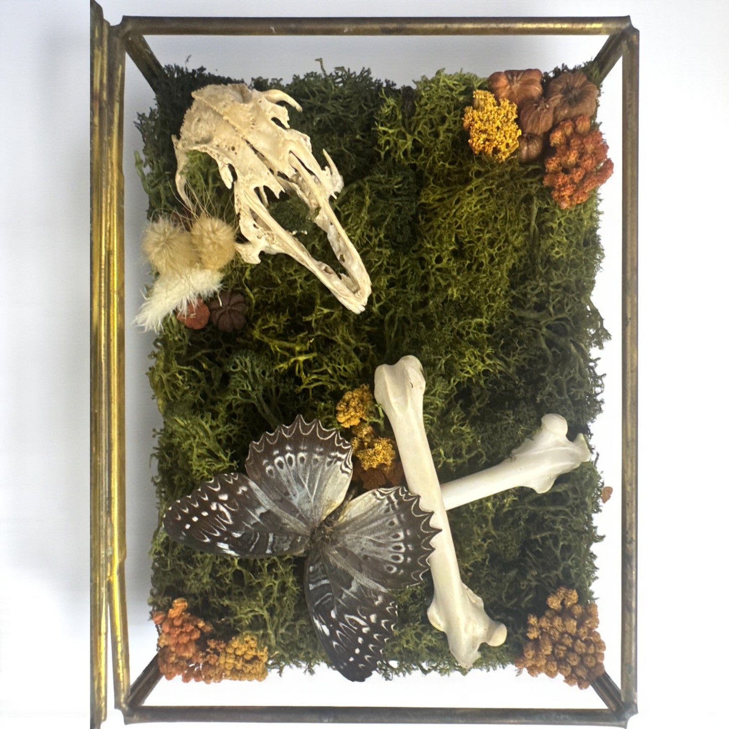 Vintage Glass Trinket Boxes