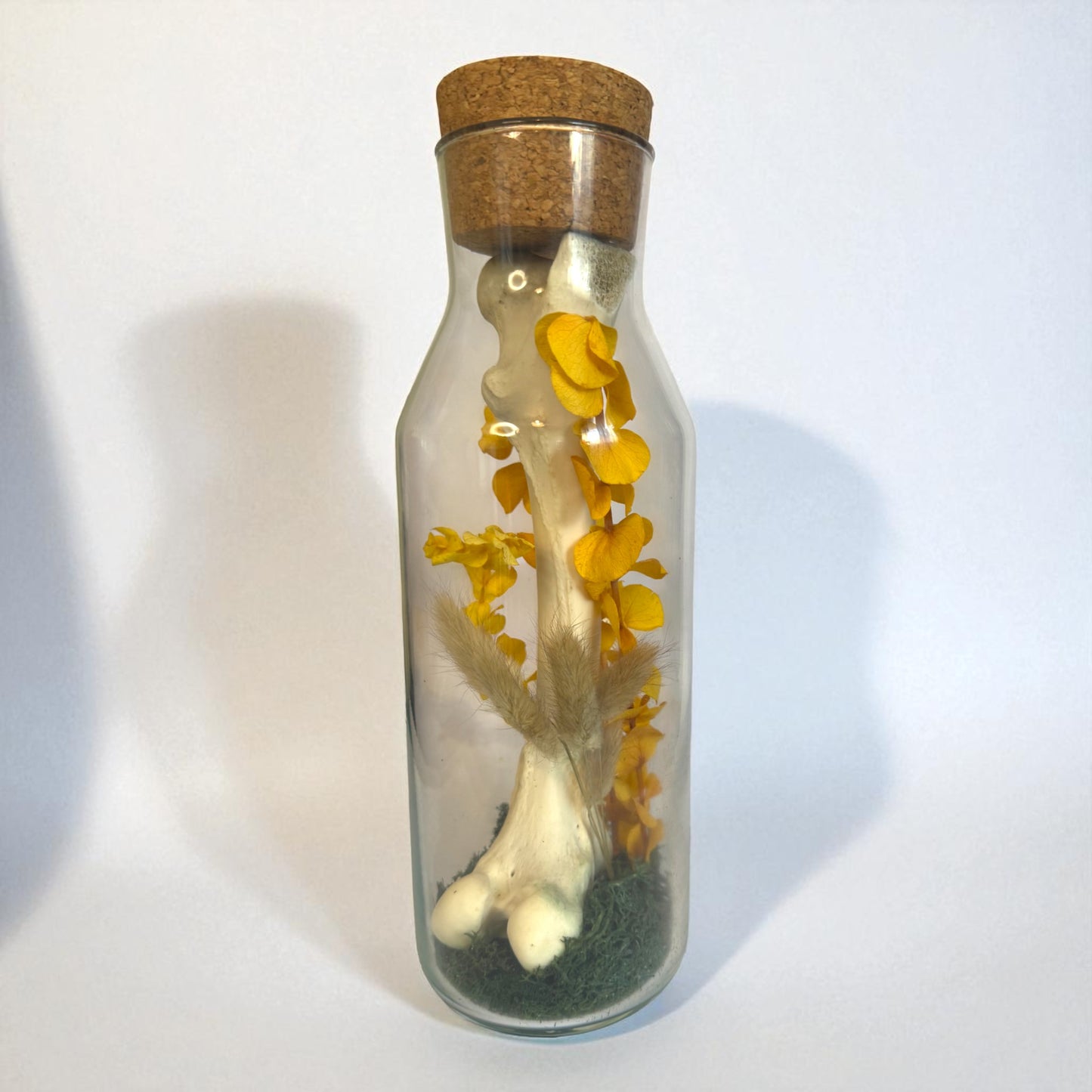 Bone Bottles