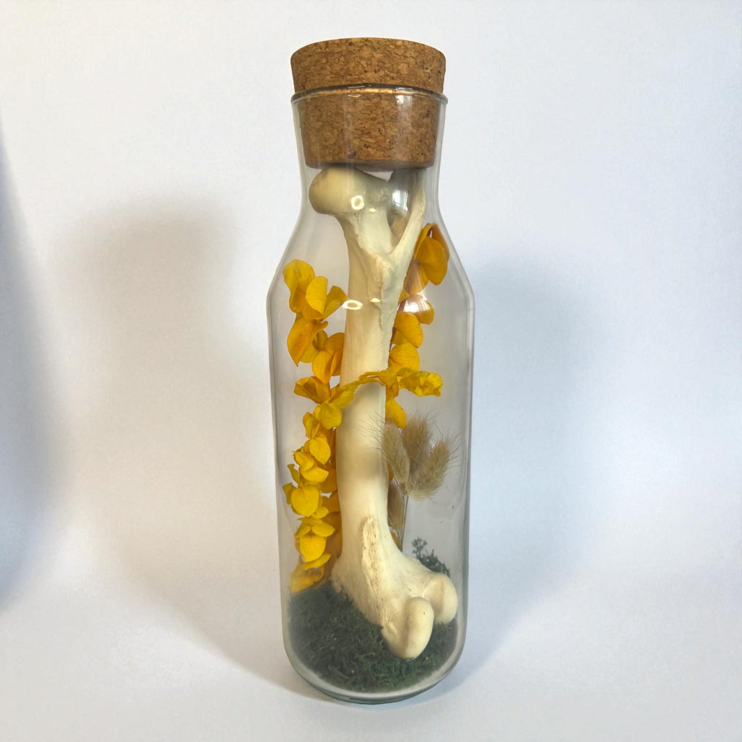 Bone Bottles