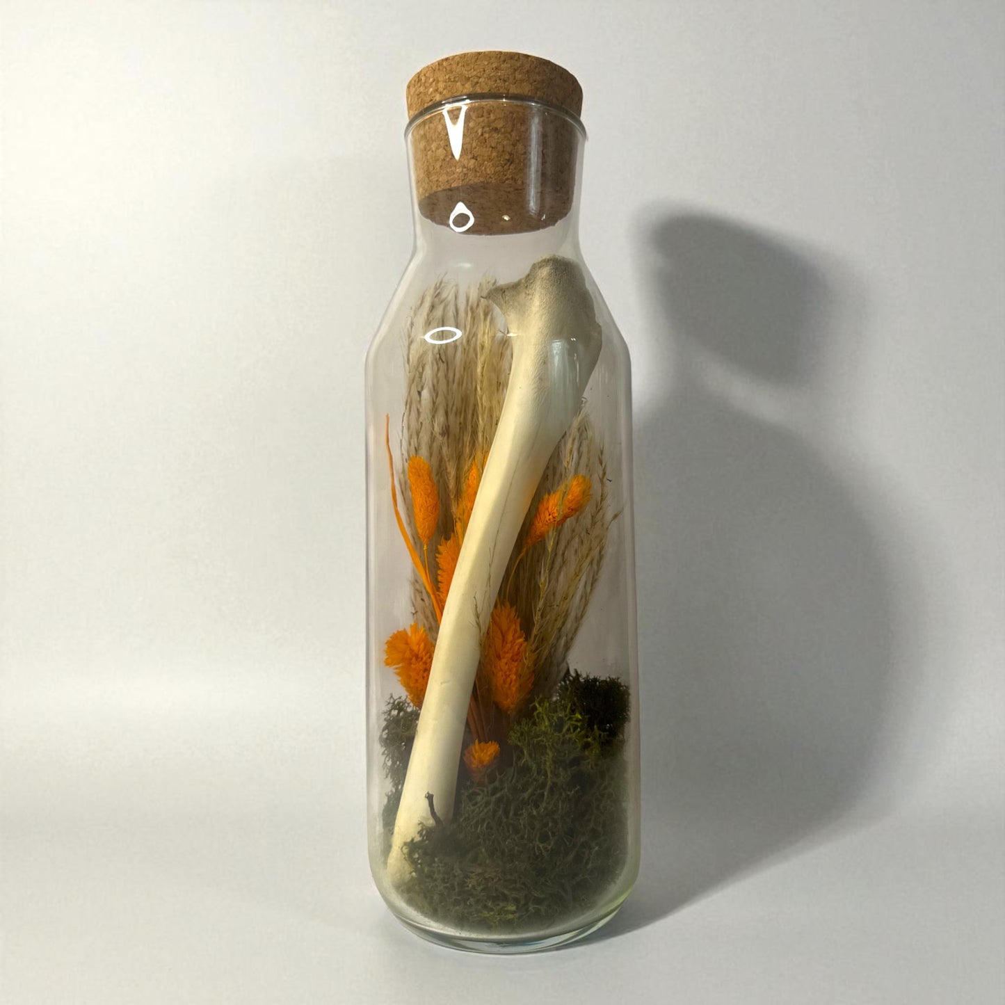 Bone Bottles
