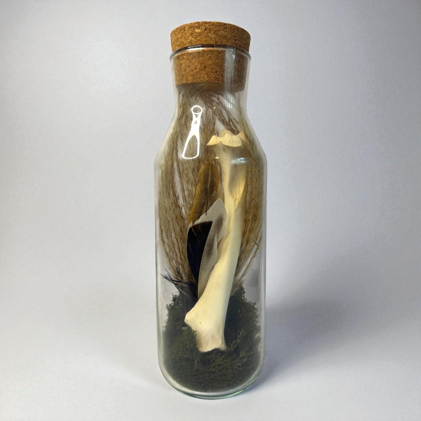 Bone Bottles