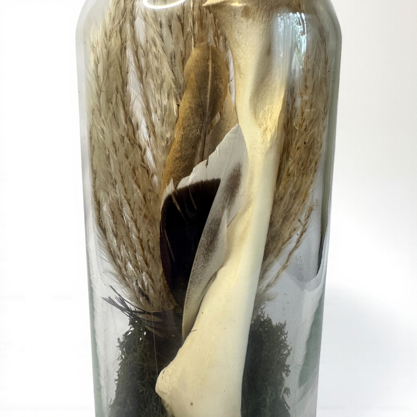 Bone Bottles