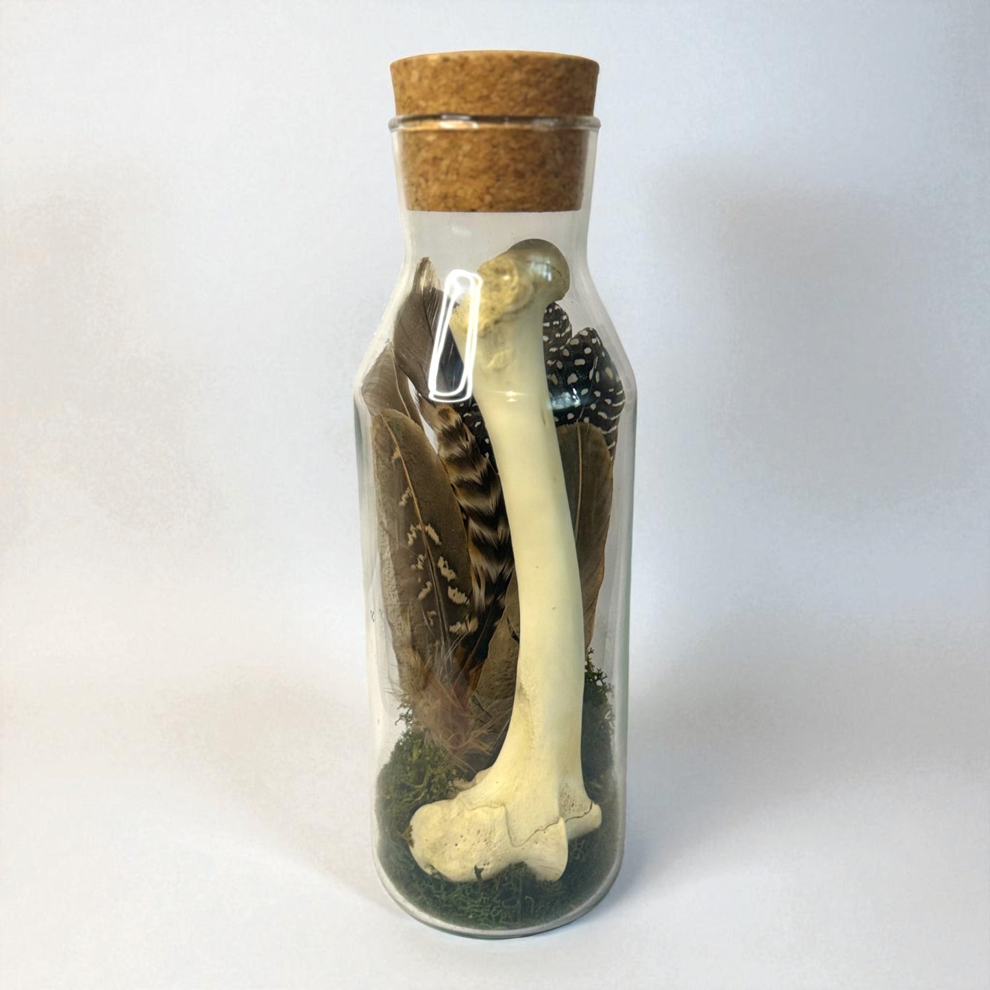 Bone Bottles