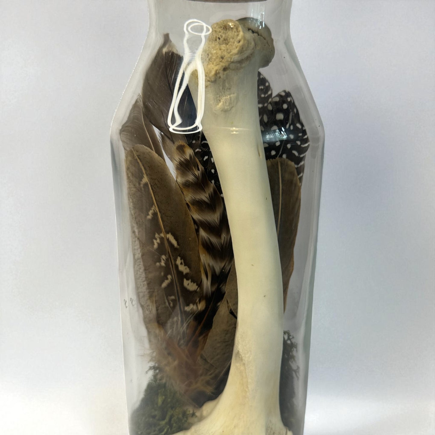 Bone Bottles