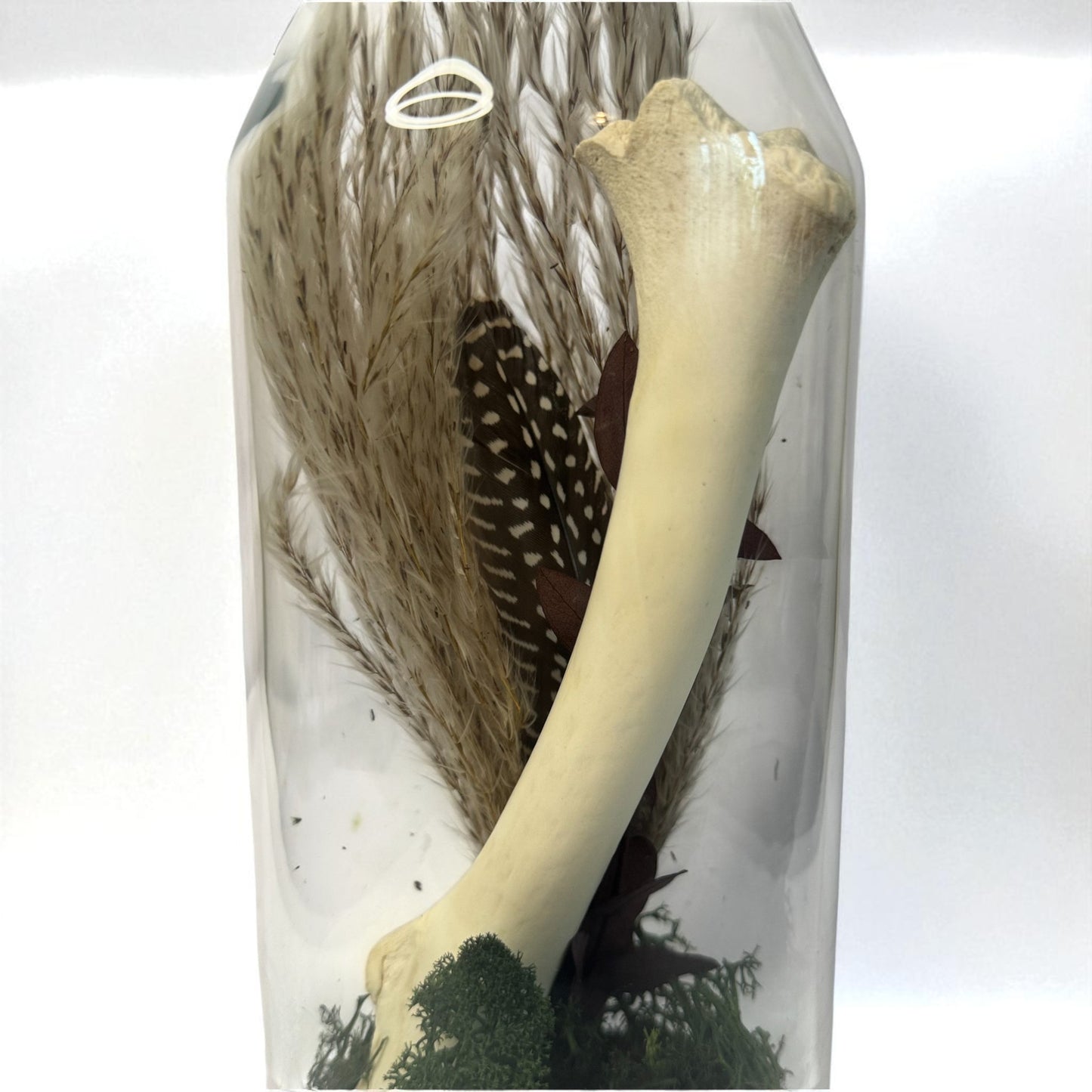 Bone Bottles