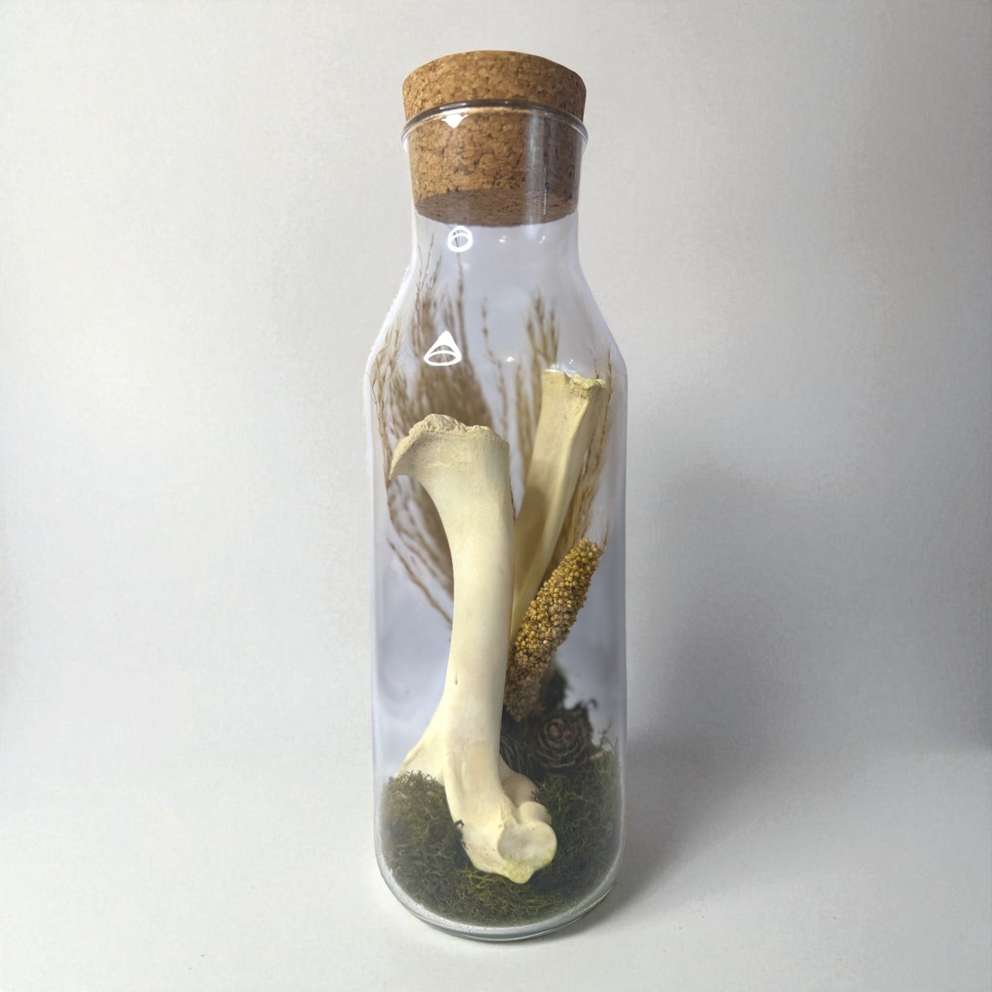 Bone Bottles