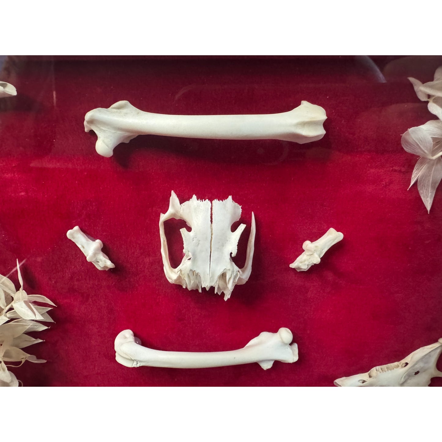 Framed Pieces