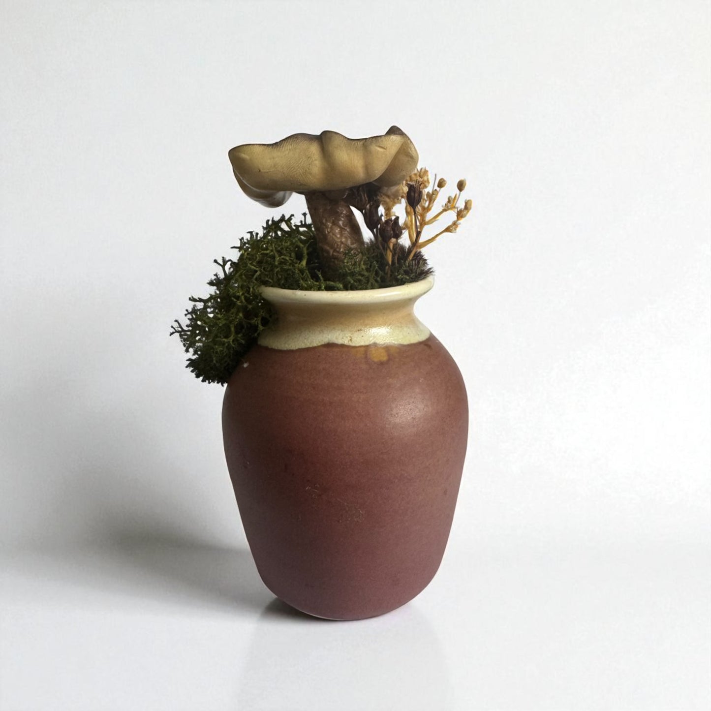 Single Shroom Pot