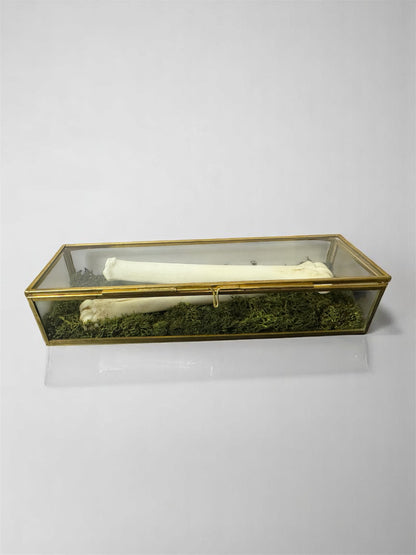 Vintage Glass Trinket Boxes