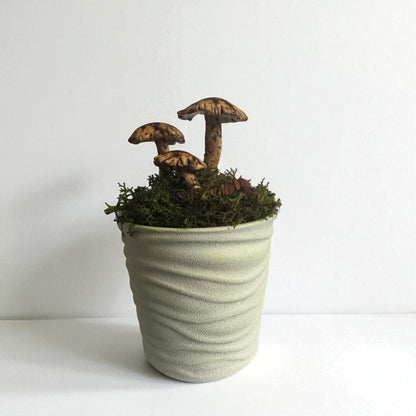 Three Shroom Pot