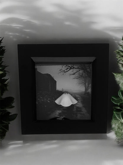 Abandoned House Ghost Box (White or Black Frame)