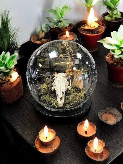 Rabbit Skull Dome