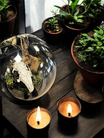 Rabbit Skull Dome