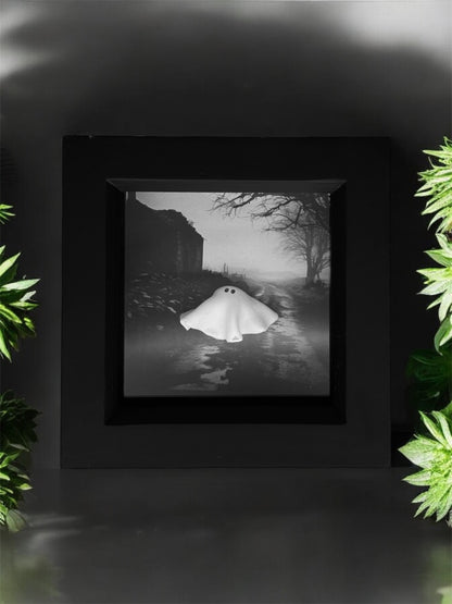 Abandoned House Ghost Box (White or Black Frame)