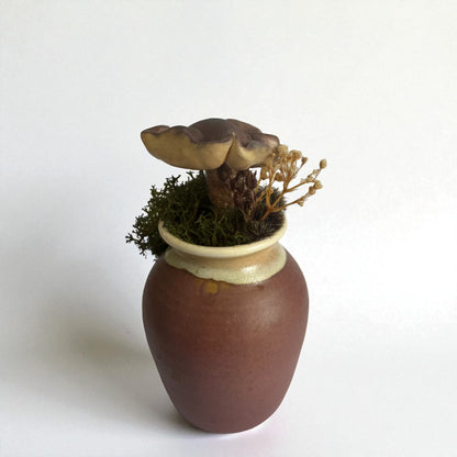 Single Shroom Pot