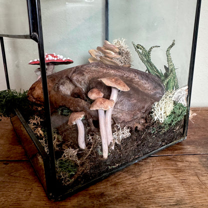 Badger Skull Light Up Terrarium